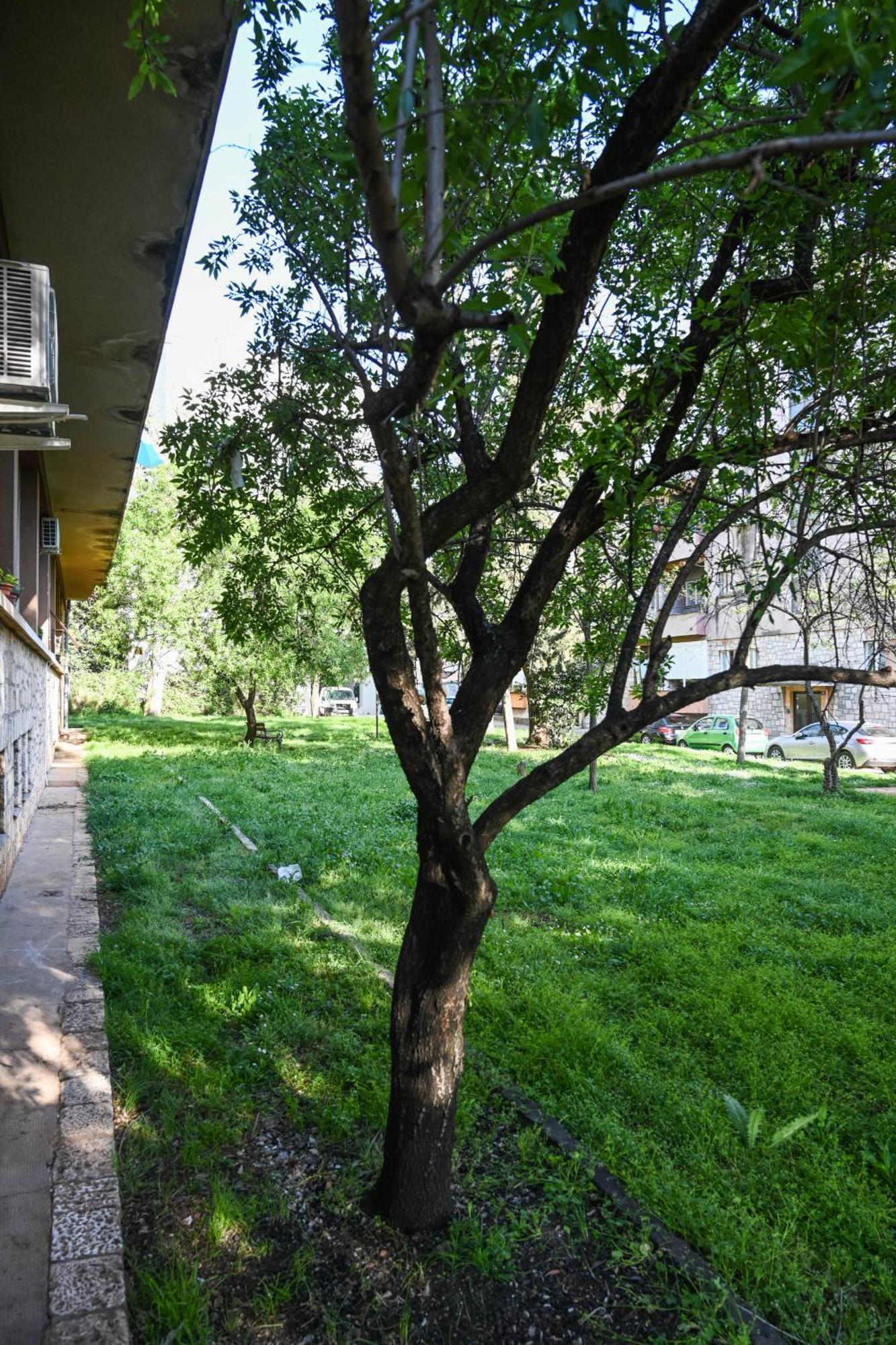4-Star Design Apartments Bubamara Zadar Exterior foto